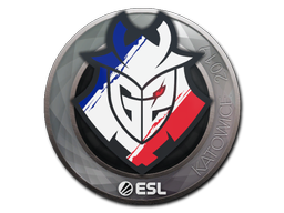 Klistermärke | G2 Esports | Katowice 2019