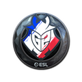 Sticker | G2 Esports (Foil) | Katowice 2019 image 120x120