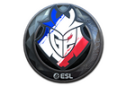 Sticker | G2 Esports (Foil) | Katowice 2019