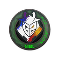 Sticker | G2 Esports (Holo) | Katowice 2019 image 120x120