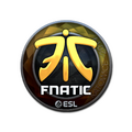 Sticker | Fnatic (Foil) | Katowice 2019 image 120x120