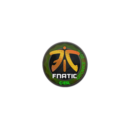 Sticker | Fnatic (Holo) | Katowice 2019