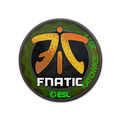 Sticker | Fnatic (Holo) | Katowice 2019 image 120x120