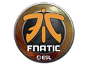 Sticker | Fnatic | Katowice 2019