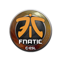 Sticker | Fnatic | Katowice 2019 image 120x120