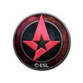 Sticker | Astralis (Foil) | Katowice 2019 image 120x120