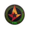 Sticker | Astralis (Holo) | Katowice 2019 image 120x120