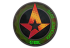 Sticker | Astralis (Holo) | Katowice 2019