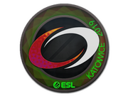 compLexity Gaming  | Katowice 2019