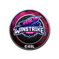 Sticker | Winstrike Team (Foil) | Katowice 2019 image 120x120