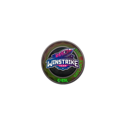 Sticker | Winstrike Team (Holo) | Katowice 2019
