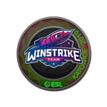 Sticker | Winstrike Team (Holo) | Katowice 2019 image 120x120