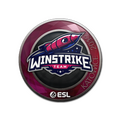 Sticker | Winstrike Team | Katowice 2019 image 120x120