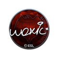Sticker | woxic (Foil) | Katowice 2019 image 120x120