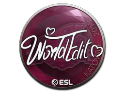 Çıkartma | WorldEdit | Katowice 2019