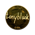 Sticker | tonyblack (Gold) | Katowice 2019 image 120x120