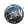 Sticker | tiziaN (Foil) | Katowice 2019 image 120x120