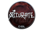 Sticker | xccurate (Foil) | Katowice 2019