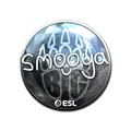 Sticker | smooya (Foil) | Katowice 2019 image 120x120