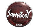 Sticker | somebody | Katowice 2019