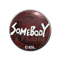 Sticker | somebody | Katowice 2019 image 120x120