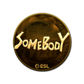 Sticker | somebody (Gold) | Katowice 2019 image 120x120