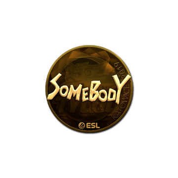 Sticker | somebody (Gold) | Katowice 2019 image 360x360