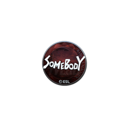 Sticker | somebody (Foil) | Katowice 2019