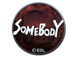 ステッカー | somebody (Foil) | Katowice 2019