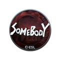 Sticker | somebody (Foil) | Katowice 2019 image 120x120