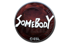 Sticker | somebody (Foil) | Katowice 2019