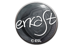 Sticker | erkaSt | Katowice 2019
