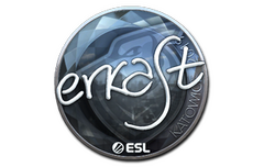 Sticker | erkaSt (Foil) | Katowice 2019