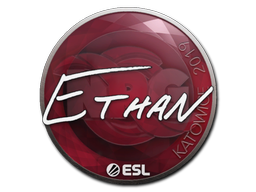 貼紙 | Ethan | Katowice 2019