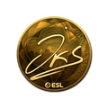 Sticker | jks (Gold) | Katowice 2019 image 120x120