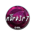 Sticker | n0rb3r7 (Foil) | Katowice 2019 image 120x120