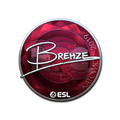 Sticker | Brehze (Foil) | Katowice 2019 image 120x120