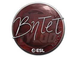 สติกเกอร์ | BnTeT | Katowice 2019