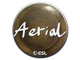 Sticker | Aerial | Katowice 2019