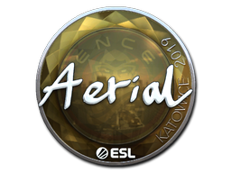 ステッカー | Aerial (Foil) | Katowice 2019