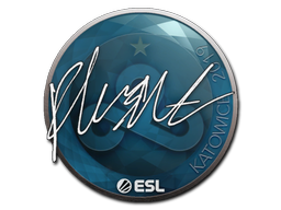 Klistermärke | flusha | Katowice 2019