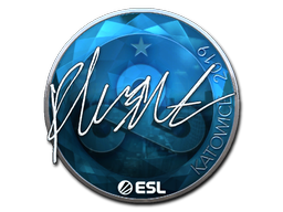 Klistermärke | flusha (Foil) | Katowice 2019