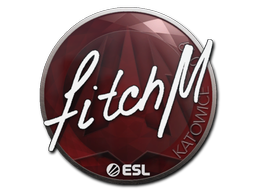 สติกเกอร์ | fitch | Katowice 2019