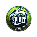 Sticker | Team Spirit (Foil) | Katowice 2019 image 120x120