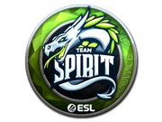 Team Spirit  | Katowice 2019