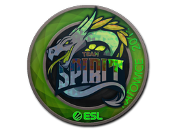 스티커 | Team Spirit(홀로그램) | 카토비체 2019
