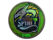 Team Spirit  | Katowice 2019
