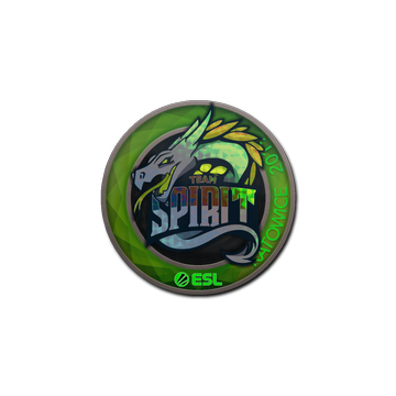 Sticker | Team Spirit (Holo) | Katowice 2019 image 360x360