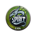 Sticker | Team Spirit | Katowice 2019 image 120x120