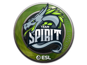 Team Spirit | Katowice 2019